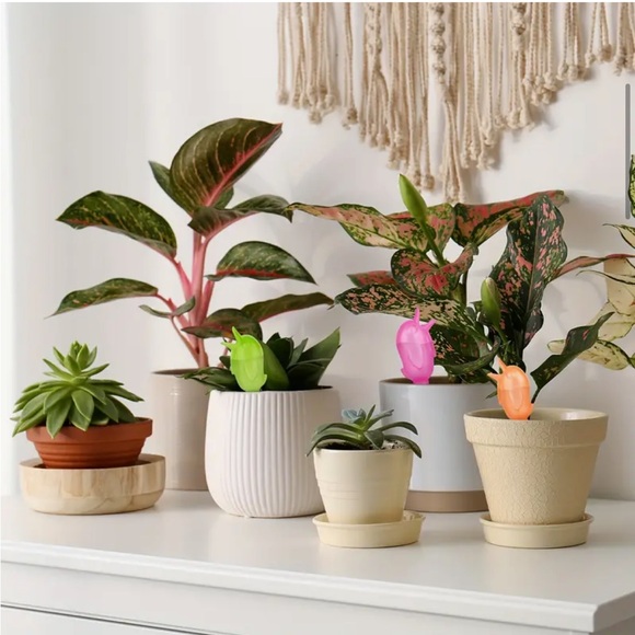 Bird auto waterers for plants (1 random pull) - Picture 3 of 3